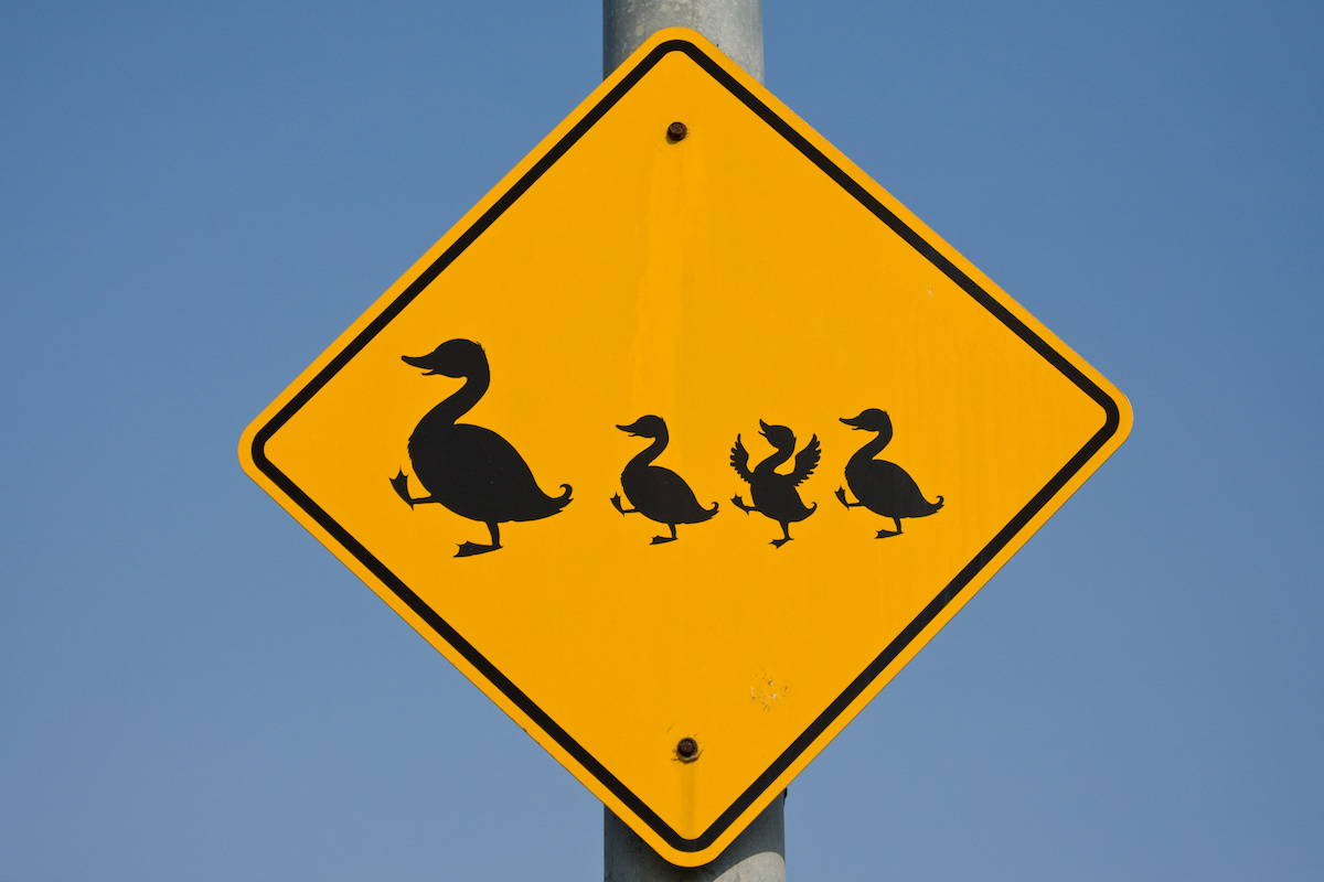 Дорожный знак с утками